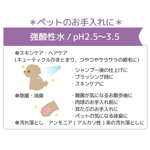 �����������¿����������ݾý��塡�������塡SC500ml�ʿ����ޤ����ˡ����ꥸ�ʥ륦���åȥƥ��å��奻�åȡ��������19���¤ꡡ����������
