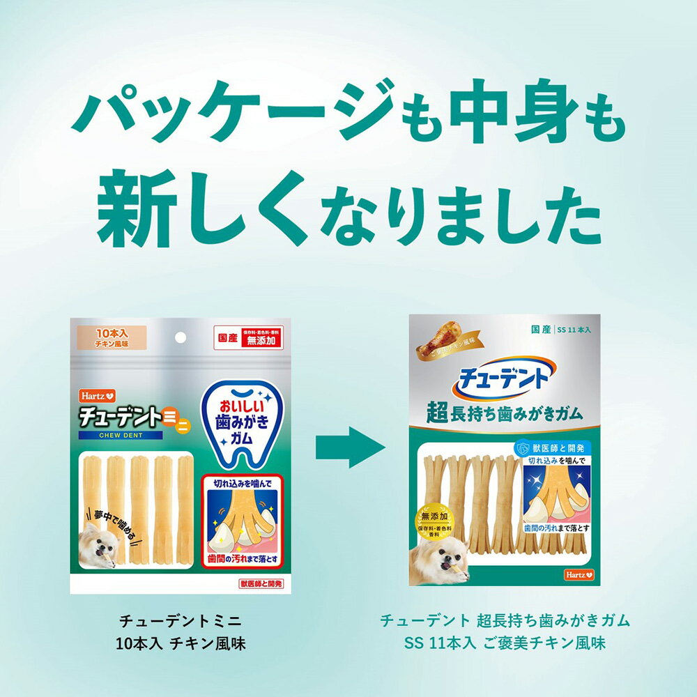 ���塼�ǥ�ȡ�ĶĹ�������ߤ������ࡡSS����������̣��11������6������������