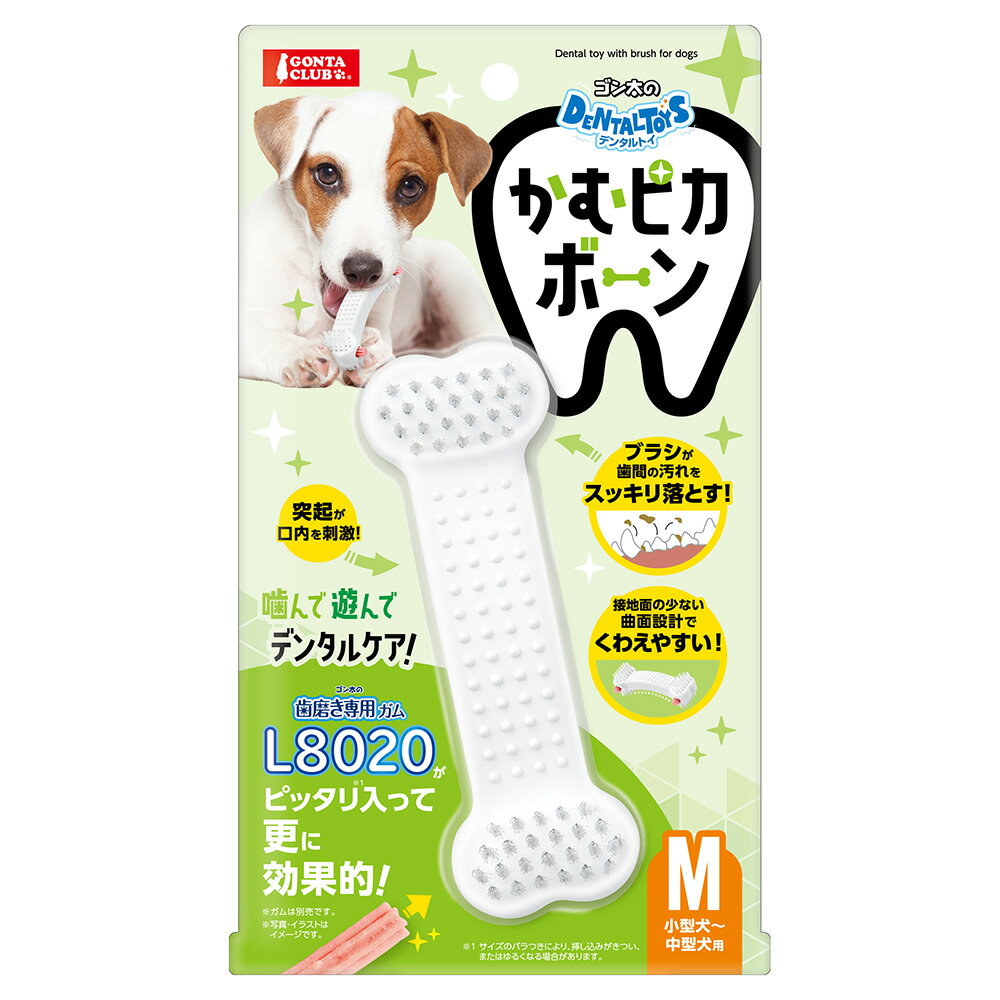 マルカン　ゴン太のデンタルトイ　かむピカボーンM　関東当日便