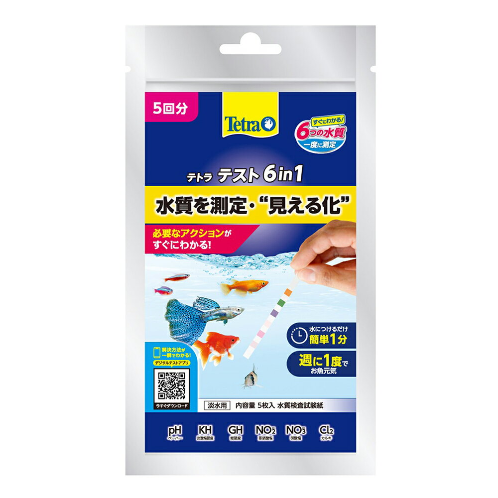 �ƥȥ顡�ƥ��Ȼ�桡6in1����ø���ѡˡ�5�󡡴���������
