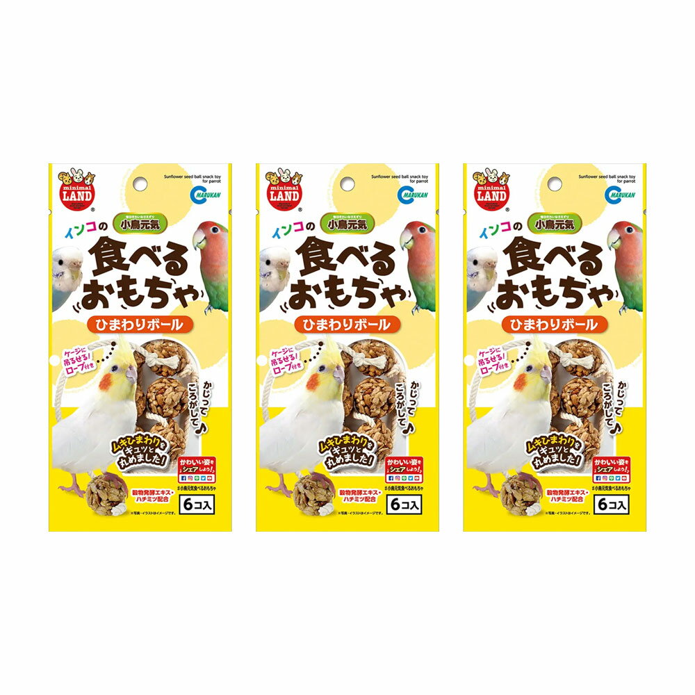 乐天商城 - マルカン　インコのひまわりボール　6個×3　関東当日便