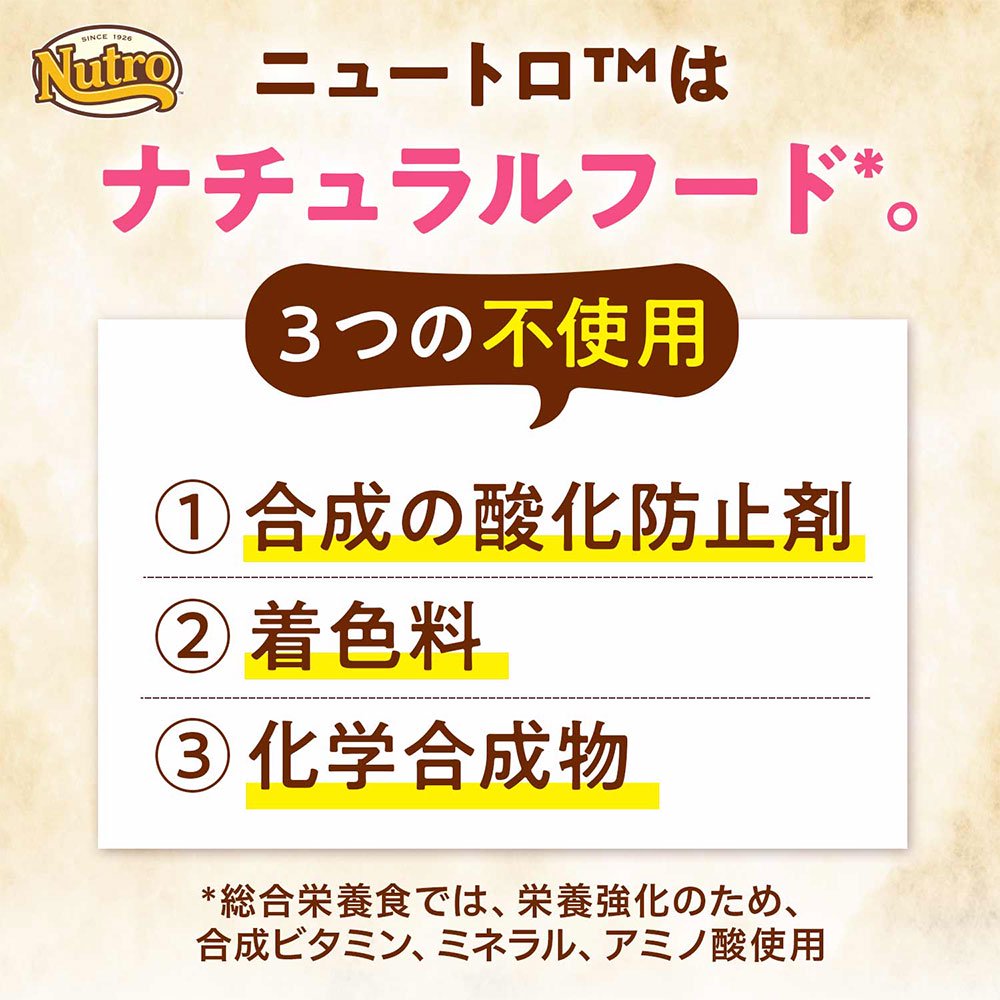 サンプル画像2
