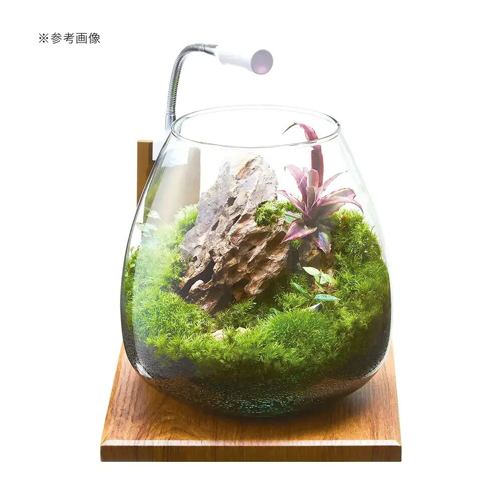 GEX�����饹�������ƥ�������N�����饹�ȥåץ饦��ɡ�20cm���塡�������塡�ܥȥꥦ�ࡡ�������ꥦ�ࡡ�ƥ�ꥦ�ࡡ����������