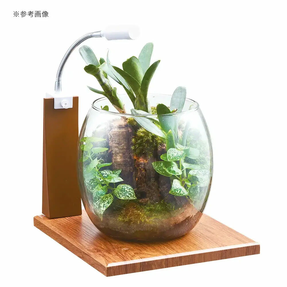 GEX�����饹���������ɥ��åס�N�����饹�ȥåץ饦��ɡ�17cm���塡�������塡�ܥȥꥦ�ࡡ�������ꥦ�ࡡ�ƥ�ꥦ�ࡡ����������