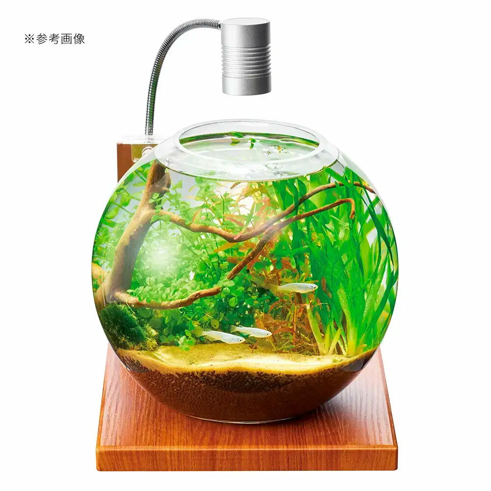 GEX�����饹�����������ե�����N�����饹�ȥåץ饦��ɡ�22cm���塡�������塡�ܥȥꥦ�ࡡ�������ꥦ�ࡡ�ƥ�ꥦ�ࡡ����������