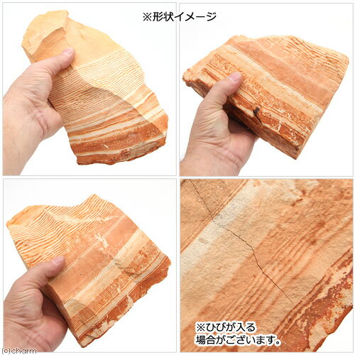 ��åɥ饤�󥹥ȡ���M��1�ġ�����ࡡ����������