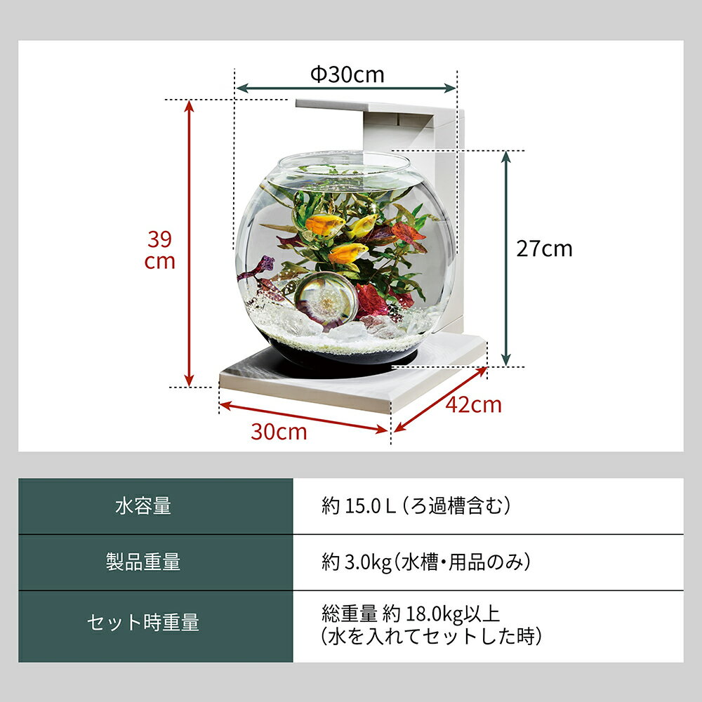 GEX�����饹��������DEKA��PERCO��DB��WH����30�߱���30�߹⤵27cm������������