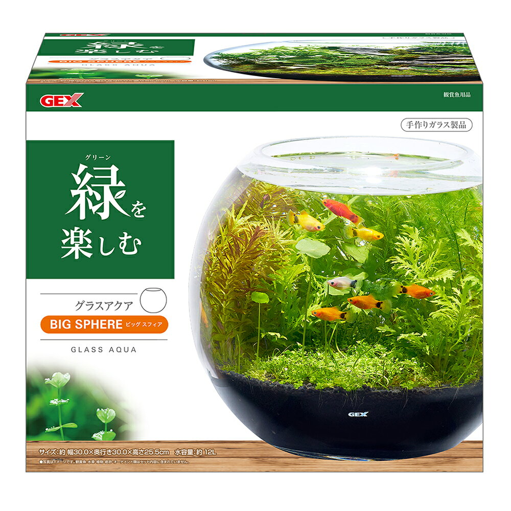 GEX�����饹�������ӥå������ե�����30��30��25��5cm������������