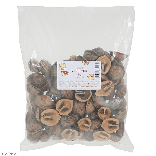 ����ߤγ̡�1L�������ǥ˥󥰡��ߺࡡ�ޥ���󥰺ࡡ����������������