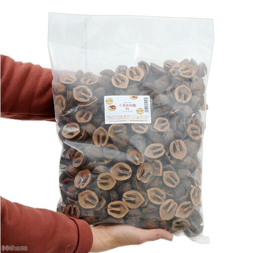 ����ߤγ̡�4L�������ǥ˥󥰡��ߺࡡ�ޥ���󥰺ࡡ����������������