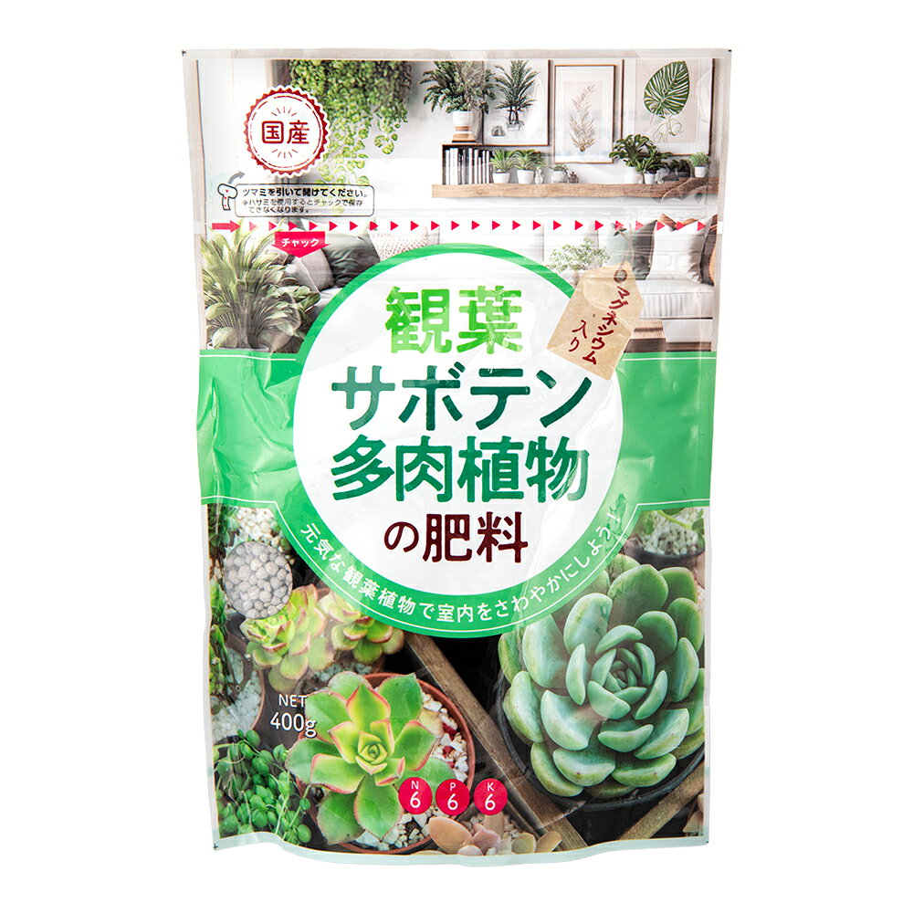 朝日アグリア KA観葉・サボテン・多肉植物の肥料 400g 関東当日便