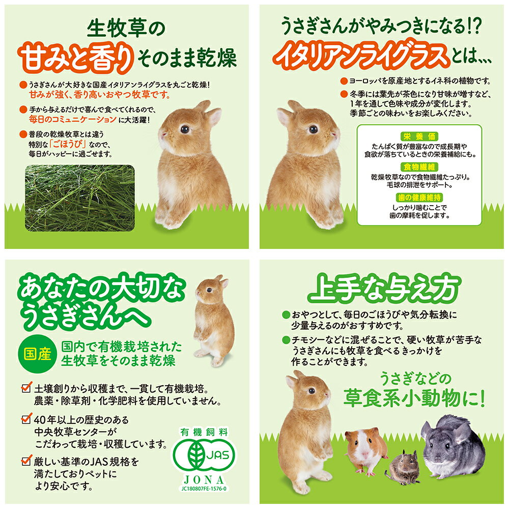GEX　旬牧草　毎日ごほうび　イタリアンライグラス　20g　関東当日便