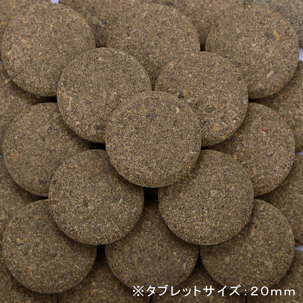 ZOOX���˥֥�ӥåġ��ϡ��ӥܥ���20mm��60g����������ա��ɡ�����������