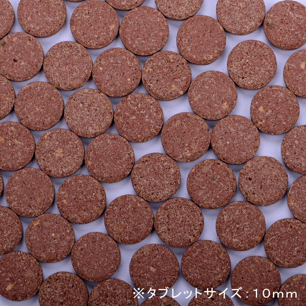 ZOOX���˥֥�ӥåġ������˥ܥ���10mm��10��5g����������ա��ɡ�����������