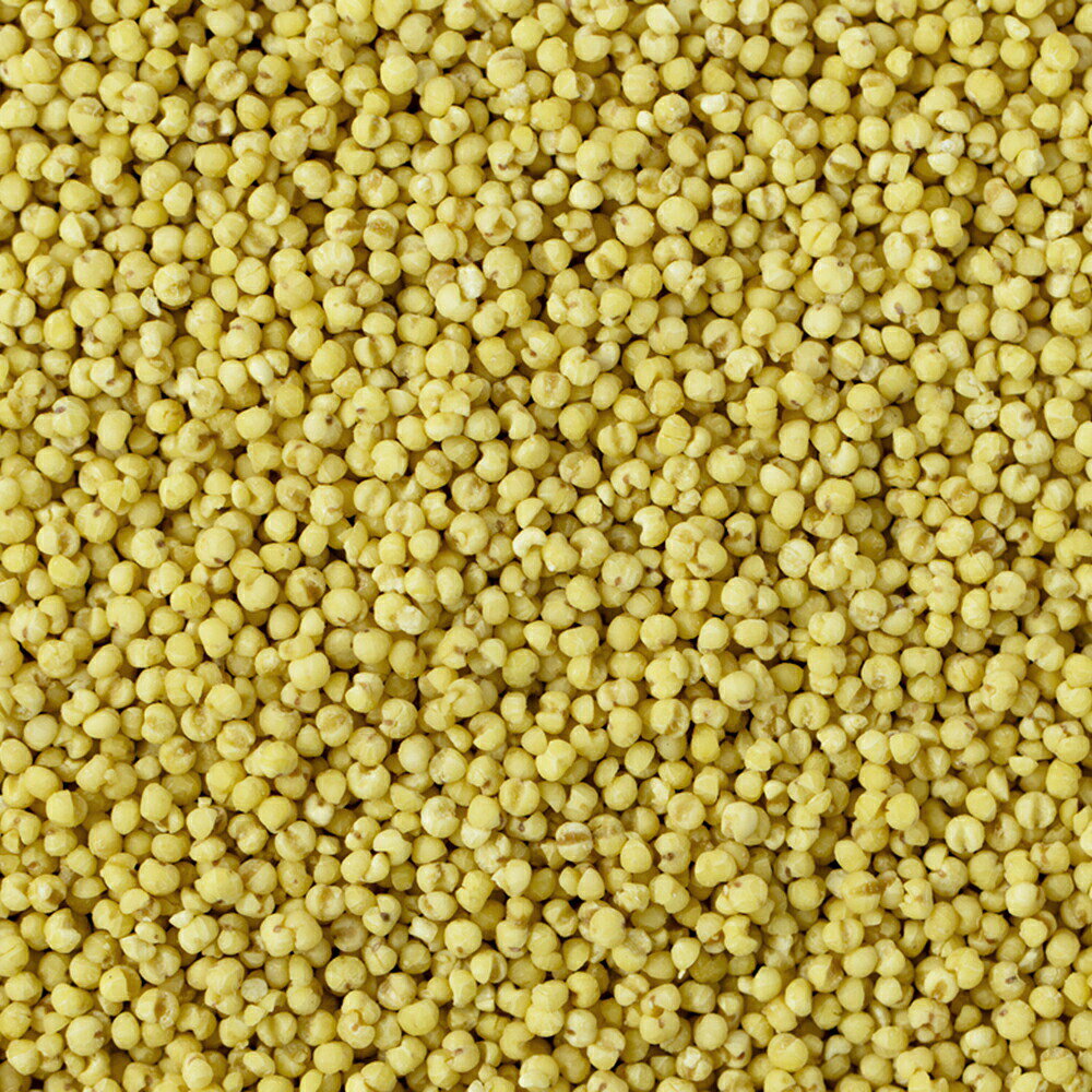 黒瀬ペットフード　シード食専用サプリメント　食べるビタミン　SS−10　240g　関東当日便 chanet3980-10136657 charm 3980 楽天市場店 サンプル画像2