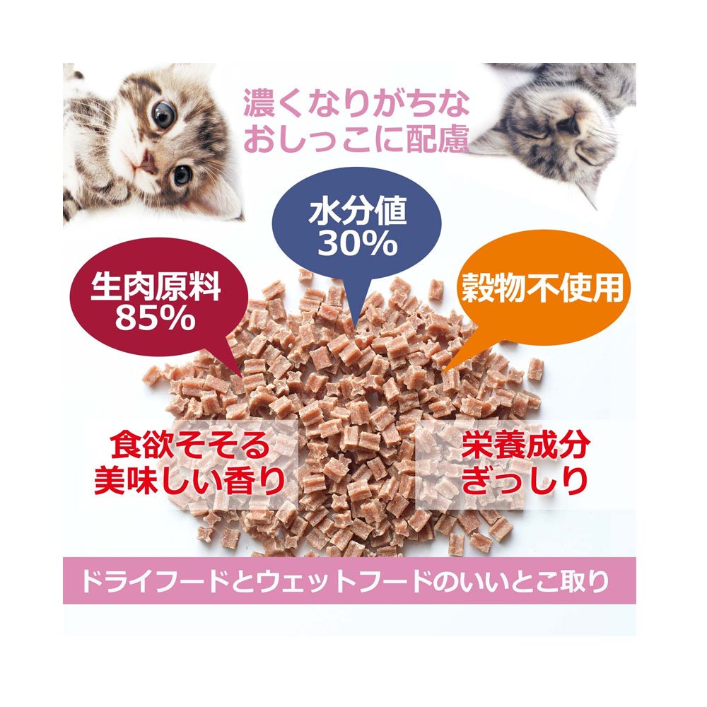 ヴォイス　キャットヴォイス　サプリメントおやつ　100g　3種各1袋　キャットフード　国産　猫　関東当日便 chanet3980-10140103 charm 3980 楽天市場店 サンプル画像3