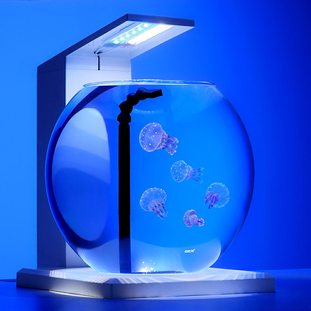 楽天市場】海水魚 飼育セットの通販