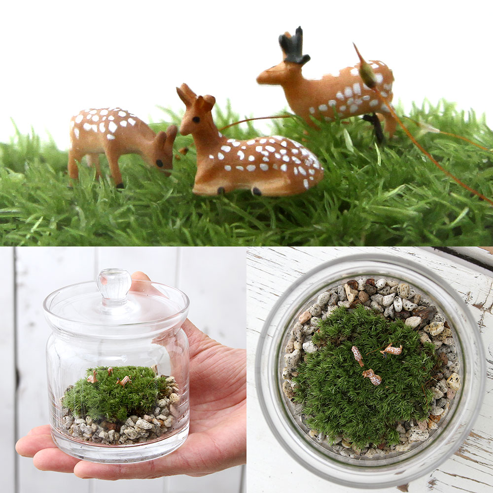 �ʴ��տ�ʪ���ݥƥ�ꥦ�ࡡ�𸶤��ʤ༯�����饹�ݥå�S���������ա������ƥ�ꥦ�ࡡ�ݥƥ顡�����ƥ顡�ݡ�����ƥꥢ