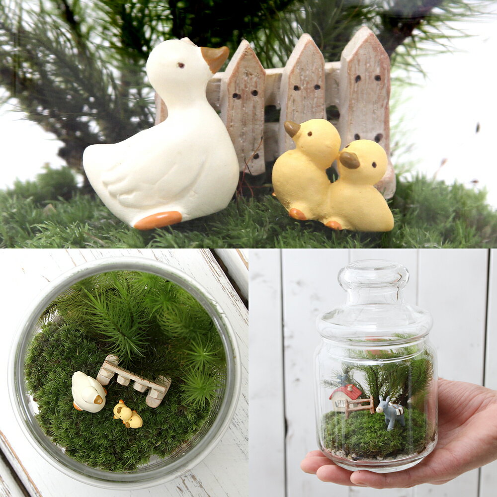 �ʴ��տ�ʪ���ݥƥ�ꥦ�ࡡ���˥ޥ���ɡ����ҥ롡��������