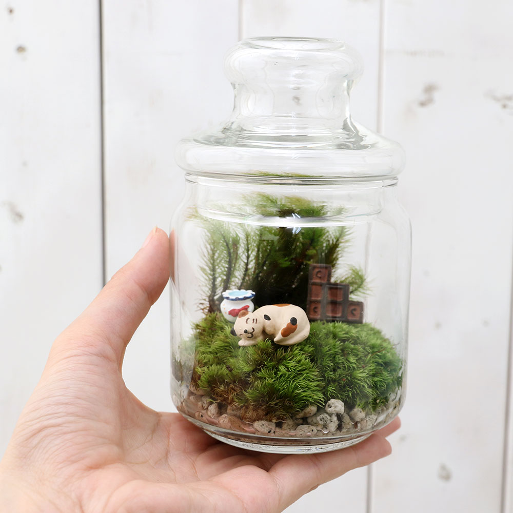 �ʴ��տ�ʪ���ݥƥ�ꥦ�ࡡ���˥ޥ���ɡ��ͥ���1�ġˡ���������