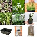 (ビオトープ)簡単ビオトープセット ビオ植物10点+トロ船+風山石+培養土 本州四国限定