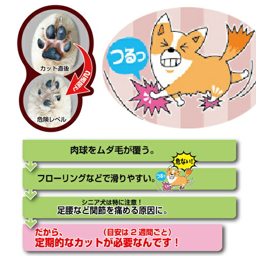 ����ǭ���Хꥫ�󡡥ɥ����ޥ󡡥ۡ���С��С�����ʬ���åȥХꥫ�󡡴���������