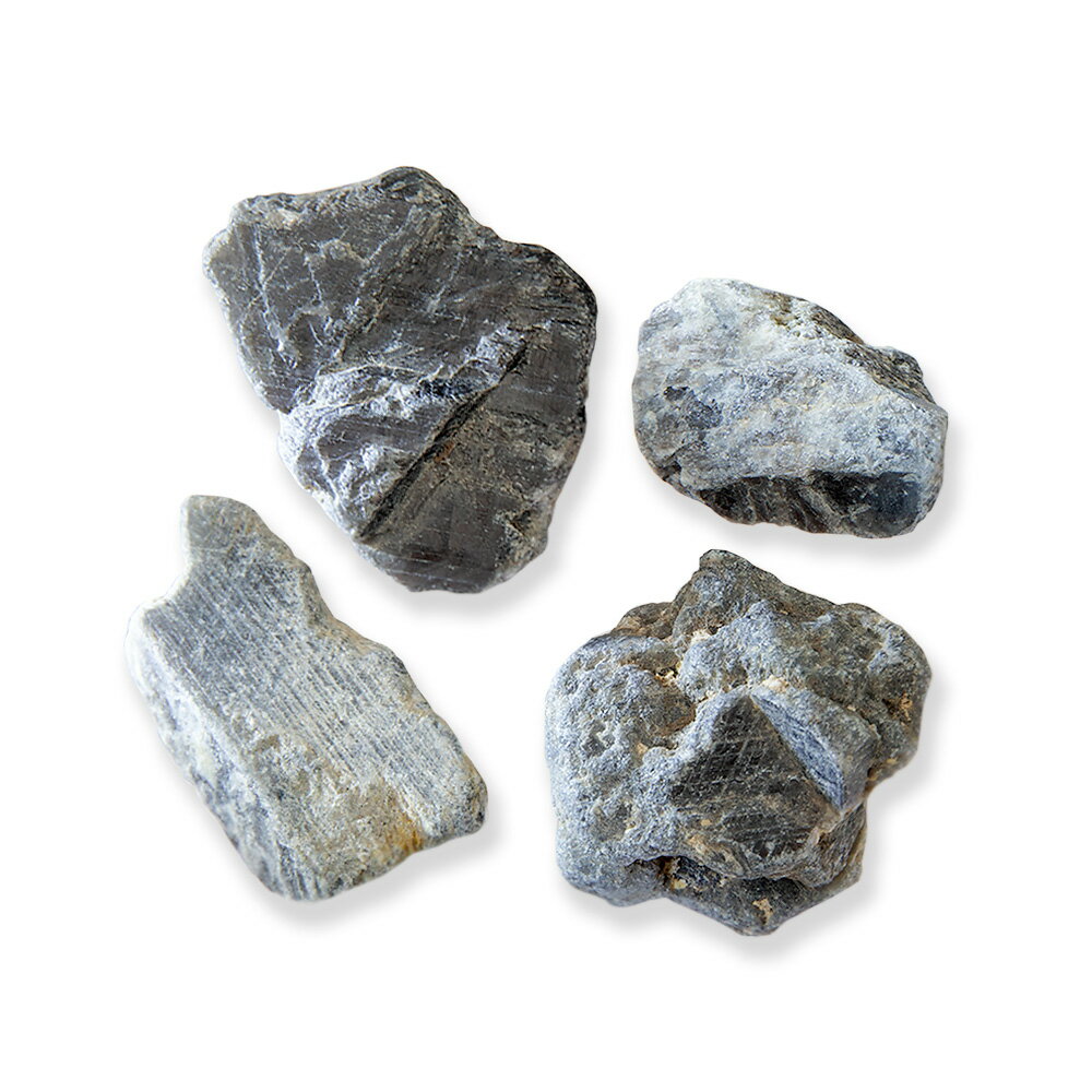 �ʴ��տ�ʪ���ݥƥ�ꥦ�ࡡ���Х쥤�����ȡ����ե���������̡˥��饹�ݥå�S��1�ġˡ���������