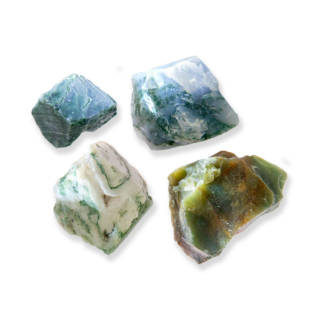 �ʴ��տ�ʪ���ݥƥ�ꥦ�ࡡ���Х쥤�����ȡ��⥹�������ȡ�������˥��饹�ݥå�S��1�ġˡ���������