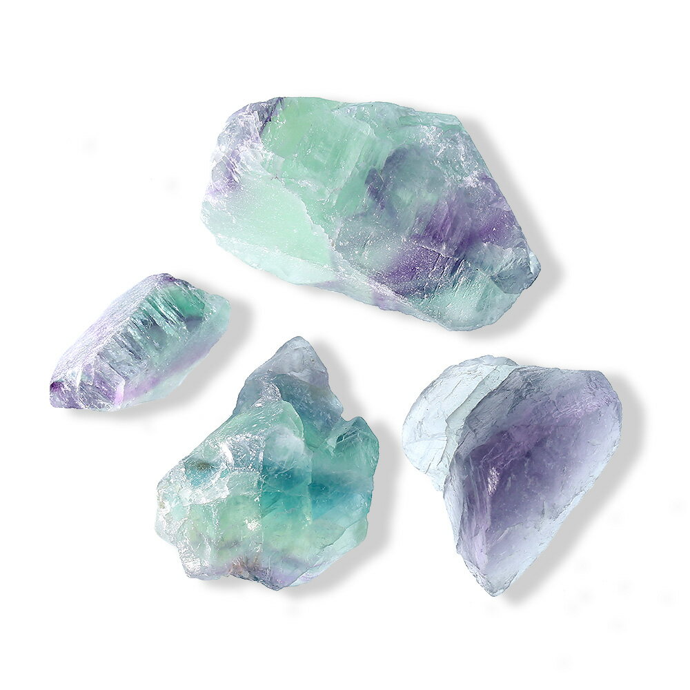 �ʴ��տ�ʪ���ݥƥ�ꥦ�ࡡ���Х쥤�����ȡ��쥤��ܡ��ե����饤�ȡ������С˥��饹�ݥå�S��1�ġˡ���������