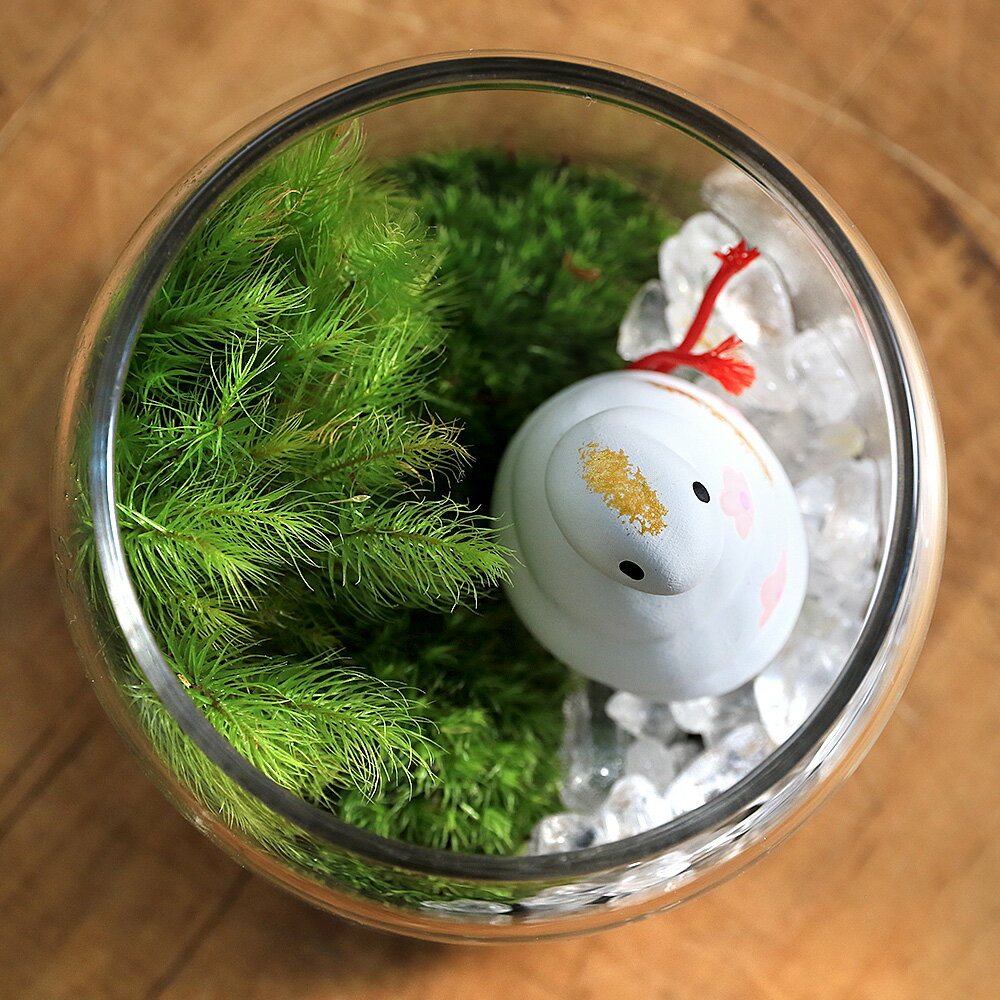 �ʴ��տ�ʪ���ݥƥ�ꥦ��ʥ�ޥ������ҥΥ���������ؤ���ʪ�դ������ݥåץ��㡼M��1�ġ��������ա��������徽