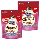 銀のスプーン おいしい顔が見られるおやつ カリカリシーフード かつお節入り 60g×2袋 関東当日便