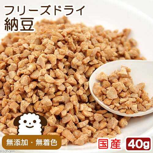 サンプル画像2