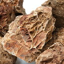 形状お任せ 古葉石 サイズミックス 3kg 30cm水槽向け アクアリウム レイアウト素材 関東当日便