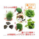 (水草)置くだけ簡単 30cm水槽用 水草簡単レイアウト 素材セット(水中葉) 本州四国限定