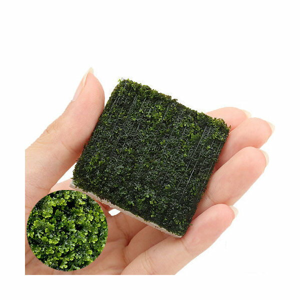 (水草)巻きたて モスsp.国産 タイル(無農薬)(1個)