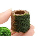 (水草)巻きたて ライフマルチ(茶)ウォーターフェザー(水中葉)(無農薬)(5個)