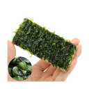 (水草)巻きたて モスファン プレート(1個)