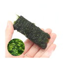 (水草)巻きたて ウォーターフェザー 流木 ミニサイズ(8cm以下)(水中葉)(無農薬)(5個)