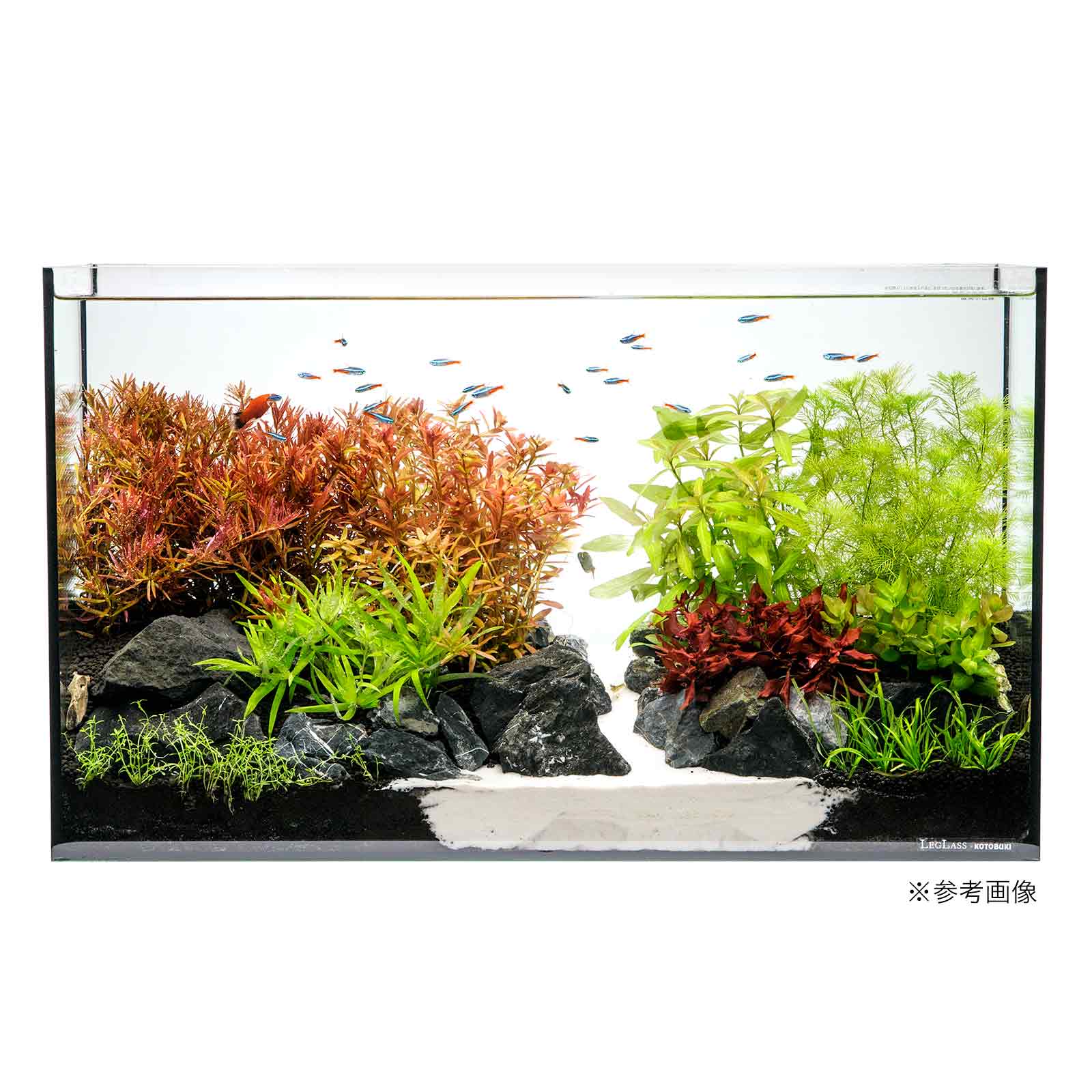 （水草）60cmスリム水槽用水草セット