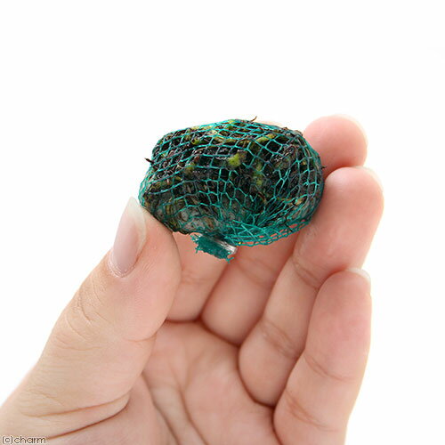 �ʿ���˴������ơ����ڤ��ߥߥ������ꥦ�ࡡ�ܡ����̵�����ˡ�3�ġ�