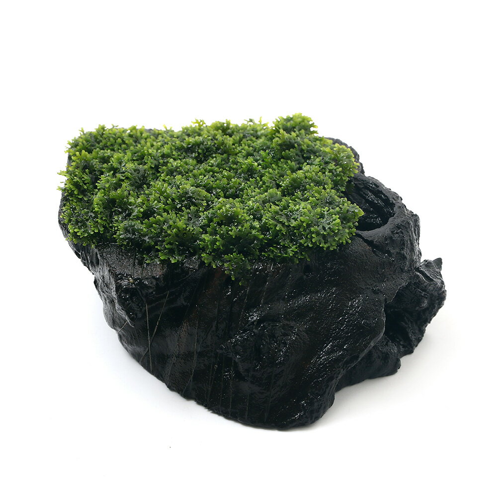 （水草）★育成済★　プレミアムグリーンモス　切り株流木LOWタイプ　Мサイズ（水中葉）（無農薬）（1個）