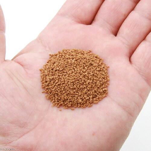 �ͤ��ؤ��ѡ��������ѥա��ɡ���ff��num03�ס�40ml��aquarium��fish��food��series������������