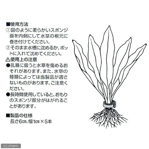 ���ɡ�������Υ��եȤ���ꡡS��6cm��5����������������