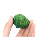 (水草)巻きたて ミックスボール(ヘアショー+キューバパール)(水上葉)(3個)