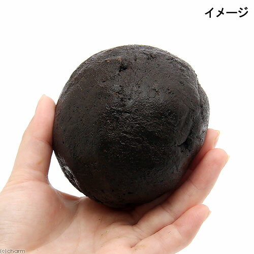 （山野草）苔玉の土　3個分（3袋）