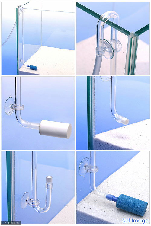 ���ꥹ���른�祤��ȡ�S����220mm������6mm�ˡ�1�ġ�6mm���������塼���ѡ�����������