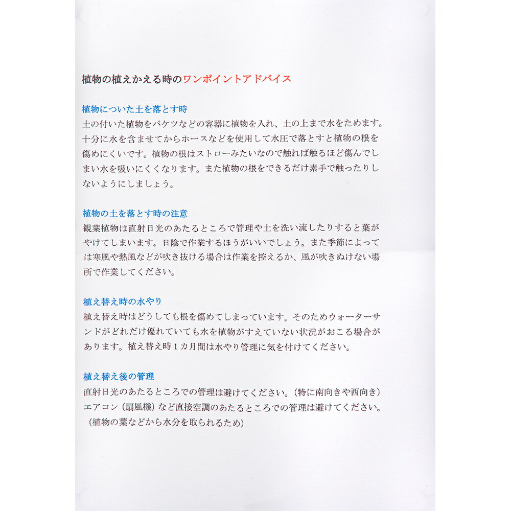 ��������������ɡ���γ��1��5kg������������