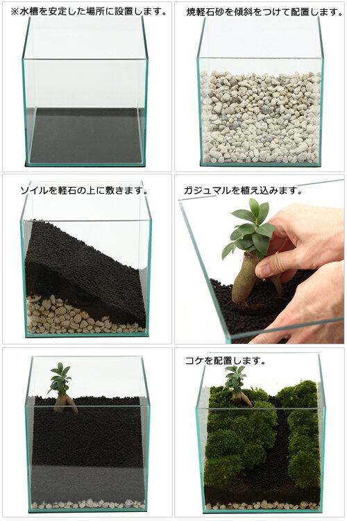 �ʴ��տ�ʪ���ݥƥ�ꥦ�ࡡ�쥤�����ȥ��åȡ���������ޥ�ε֡����������ա������ƥ�ꥦ�ࡡ�ݥƥ顡�����ƥ顡�ݡ�����ƥꥢ