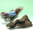 GEX 天然流木 Sサイズ(約20〜25cm) 1本 形状お任せ 水槽用アクセサリー アクアリウム 水槽 関東当日便