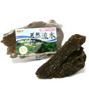 GEX 天然流木 ミニサイズ(約10〜25cm) 1本 形状お任せ 水槽用アクセサリー アクアリウム 水槽 関東当日便